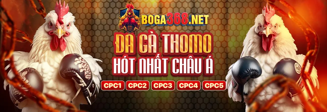 Hỗ trợ khách hàng và cá cược có trách nhiệm tại THBBET
